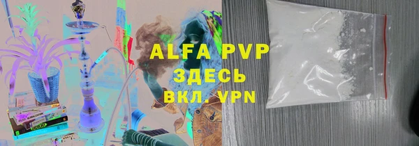 трава Корсаков