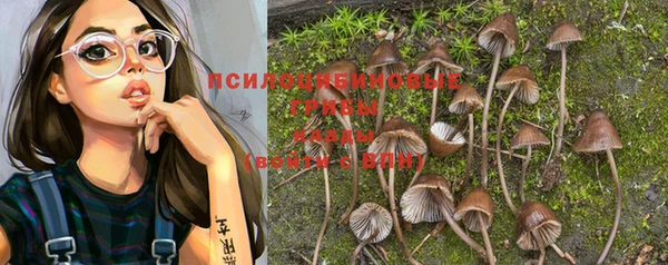 мдпв Кукмор