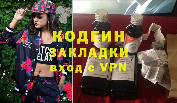трава Корсаков