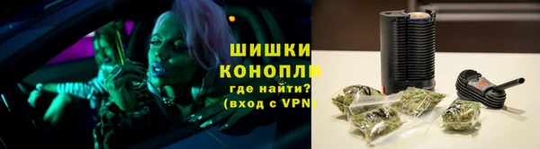 гашик Кулебаки