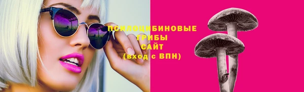 трава Корсаков