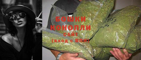 трава Корсаков