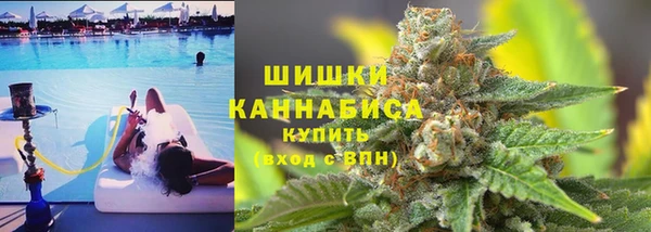 PSILOCYBIN Коряжма