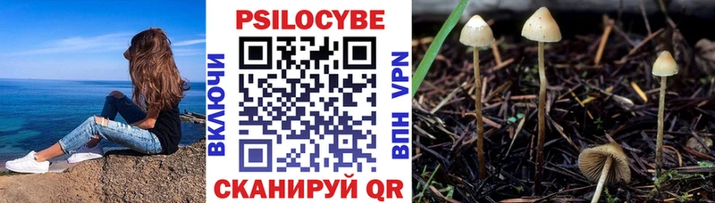 Псилоцибиновые грибы GOLDEN TEACHER Новосибирск
